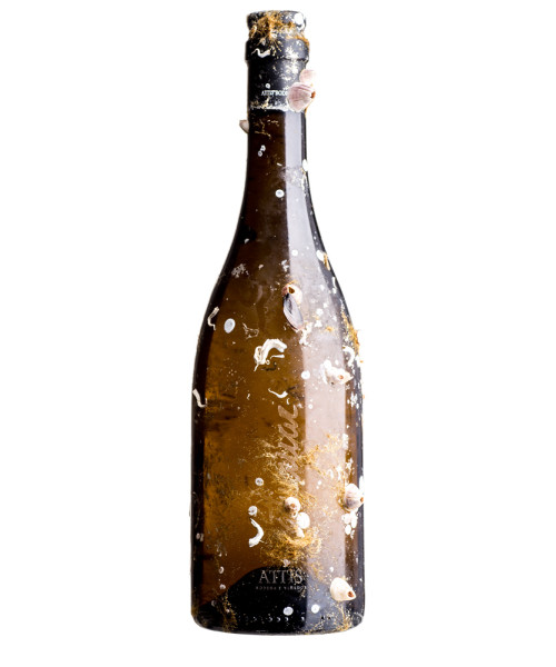 Attis Bodegas y Vinedos Attis Mar 2021 Magnum, Rías Baixas