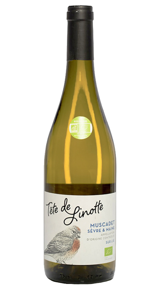 Tete de Linotte Muscadet Sevre et Maine sur Lie 2024, Dolina Loary