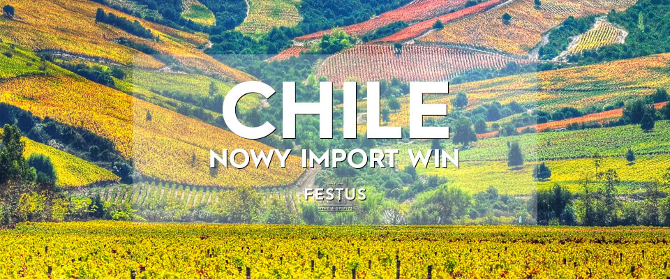 festus wina z Chile