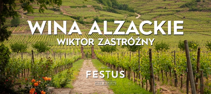 wina alzackie