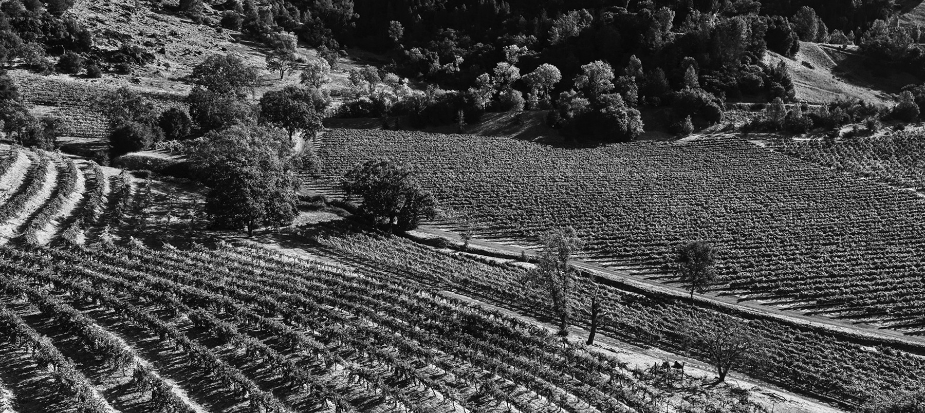 Winnica Chateau Montelena w Kalifornii – miejsce narodzin zwycięskiego chardonnay z Judgement of Paris 1976.