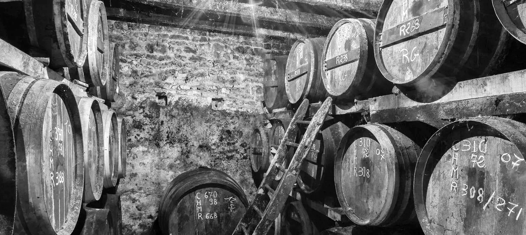 Piwnica Bourgoin Cognac – beczki z dojrzewającym koniakiem