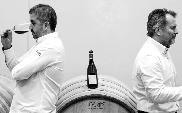 Attis Bodegas y Viñedos: wyjątkowe albariño z Rías Baixas