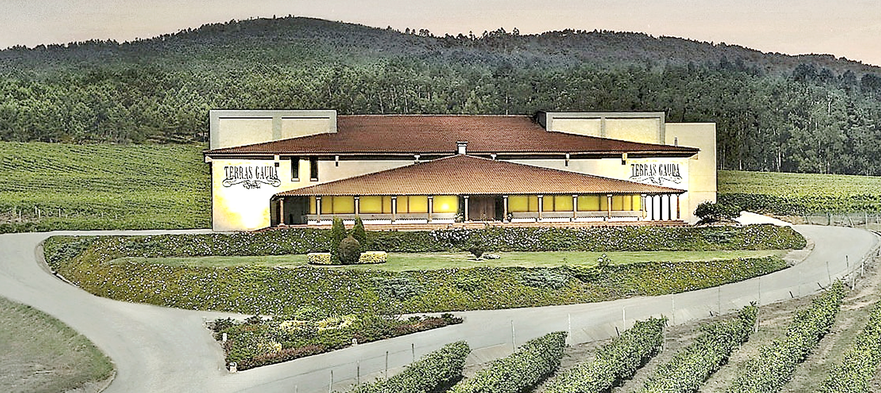 Winnica Terras Gauda w Rías Baixas – nowoczesna bodega otoczona winnicami