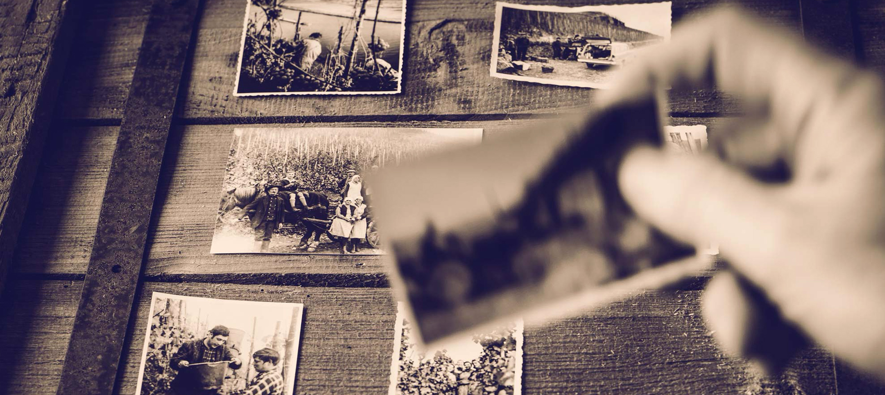 Historyczne zdjęcia rodziny Haag związanej z winnicą w Braunebergu