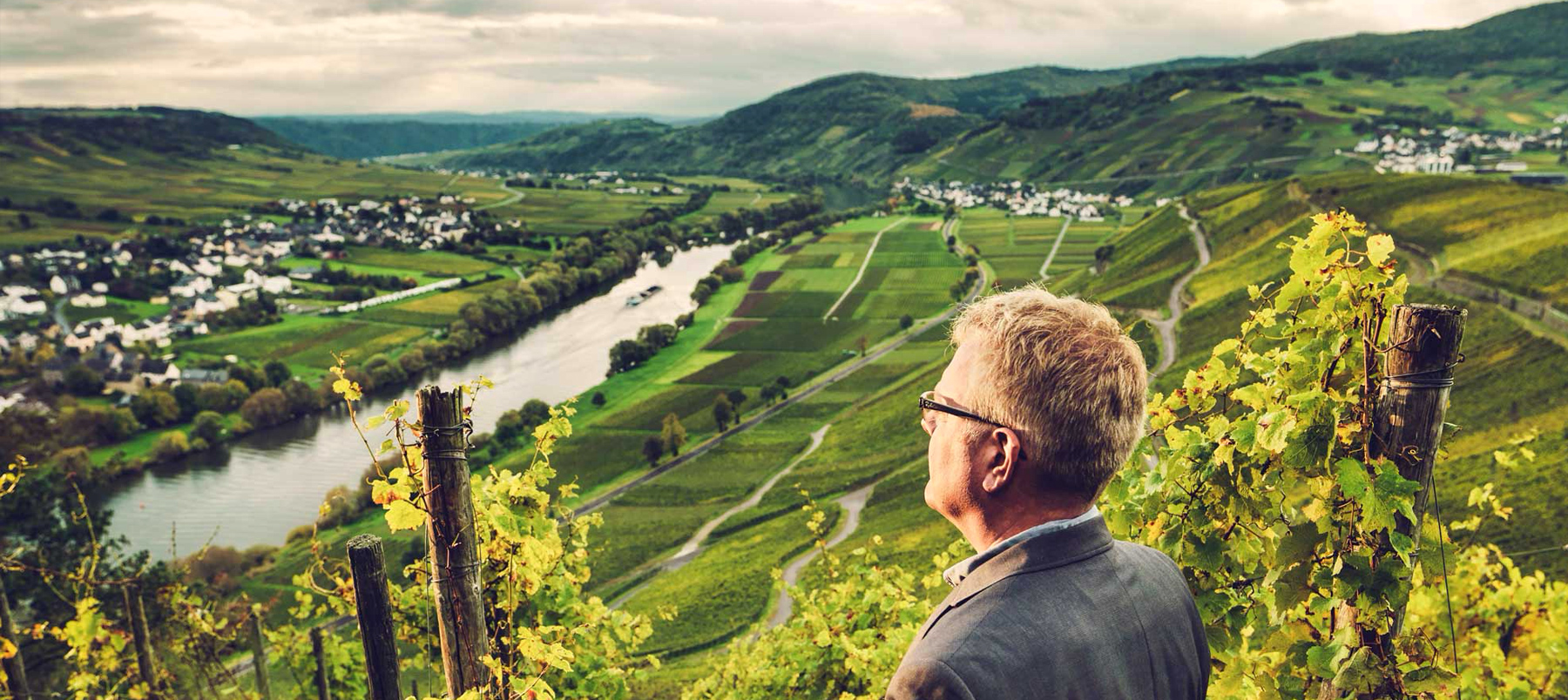 Widok na winnice Brauneberg w Mozeli z perspektywy odwiedzającego