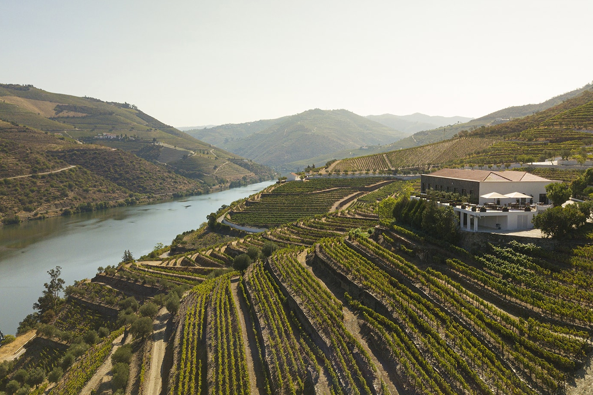 Tarasowe winnice nad rzeką Douro w dolinie Douro, skąd pochodzi wino porto